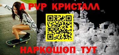 СК Кингисепп