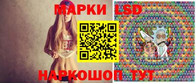СК Кингисепп
