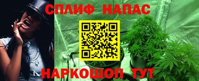 стаф Кимры