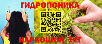 стаф Кинель