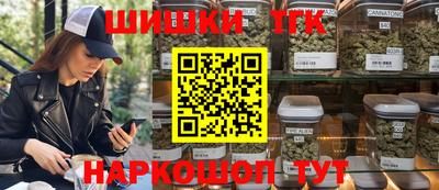СК Кингисепп