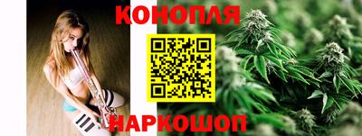 стаф Кимры