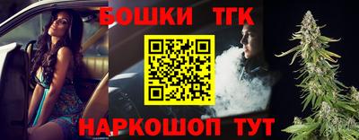 СК Кингисепп
