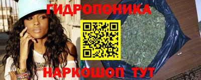 стаф Кинель