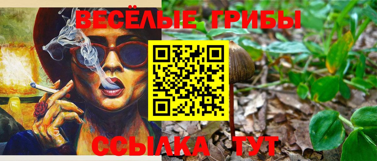 Псилоцибиновые грибы Psilocybine cubensis  Псилоцибиновые грибы ЛСД  Корсаков  Вход с VPN 