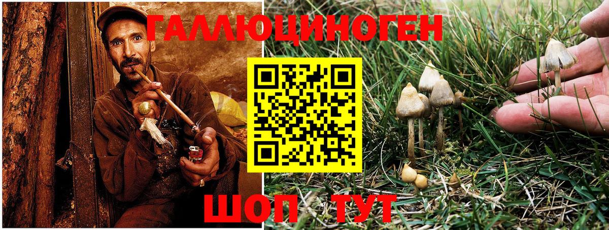 Меф   МАРИХУАНА  MDMA  APVP СОЛЬ кристаллы  ГАШ  Корсаков  Вход с VPN  МЕТ 